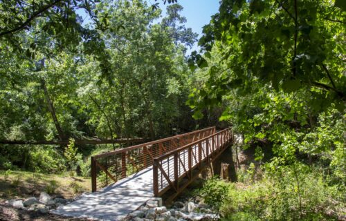Capture Your Zen at Alexan River Oaks - Trail footbridge surrounded by green trees.